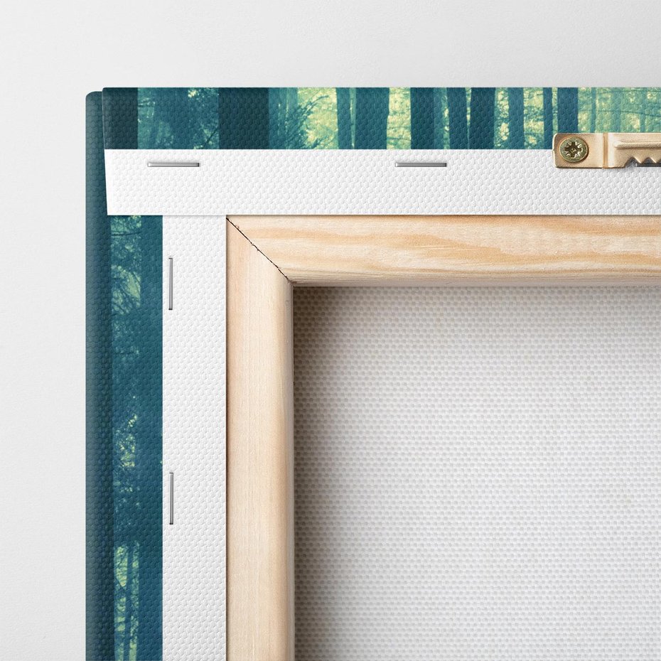 Obraz na płótnie 70x50 - Mistyczny las w mgle - las, mgła