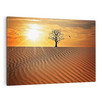 Obraz na płótnie 100x70 - Pustynia - Drzewo i słońce - pustynia, drzewo