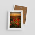 Plakat w ramie 30x40 - Maki przy zachodzie słońca - maki, zachód - rama biała