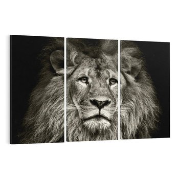 Obraz na płótnie 120x80 - Moc lewego spojrzenia - lew, czarno