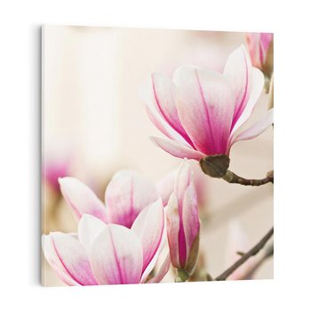Obraz na płótnie 50x50 - Urok Magnolii - magnolie, kwiaty