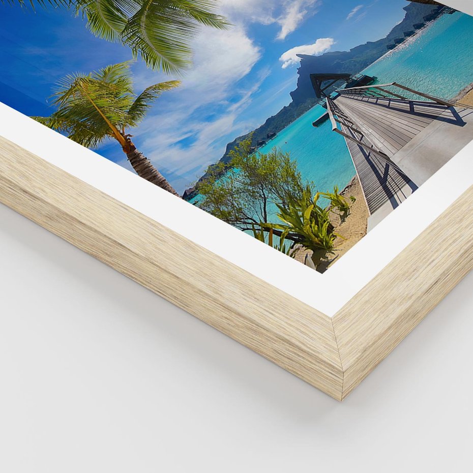 Plakat w ramie 40x50 - Tropikalne palmy nad oceanem - palmy, ocean - rama drewno