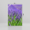 Obraz na płótnie 80x120 - Lawendowe pola piękno natury - lawenda, kwiaty