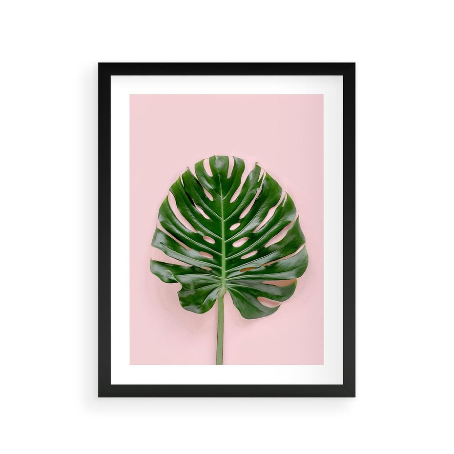 Plakat w ramie 30x40 - Monstera w Różowym Świetle - liść monstery, różowe tło - rama czarna