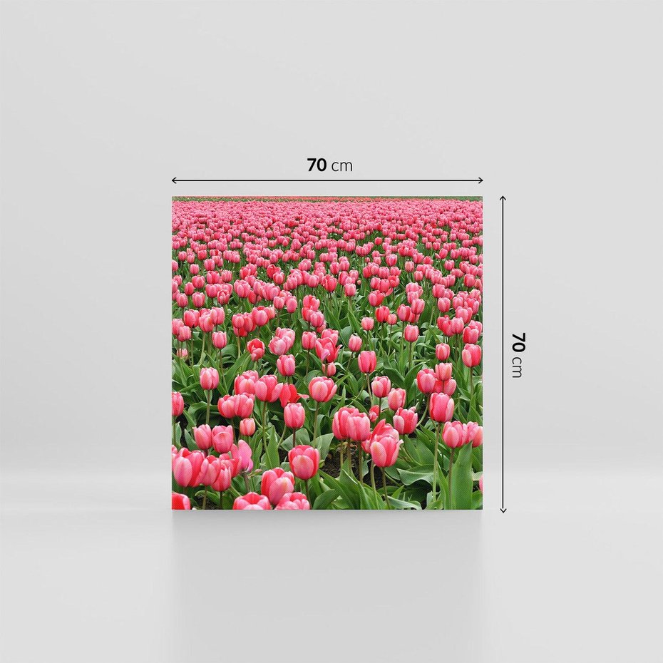 Obraz na płótnie 70x70 - Tulipanowe Elegancja - tulipany, kwiat