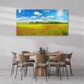 Obraz na płótnie 140x70 - Malownicze maki na łące - maki, łąka