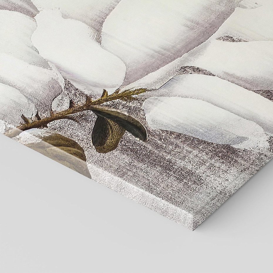 Obraz na płótnie 70x70 - Tekstura Kwiatu - białe kwiaty, duży kwiat