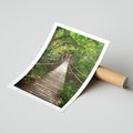 Plakat bez ramy 21x30 - Przez Dżunglę - most, linowy