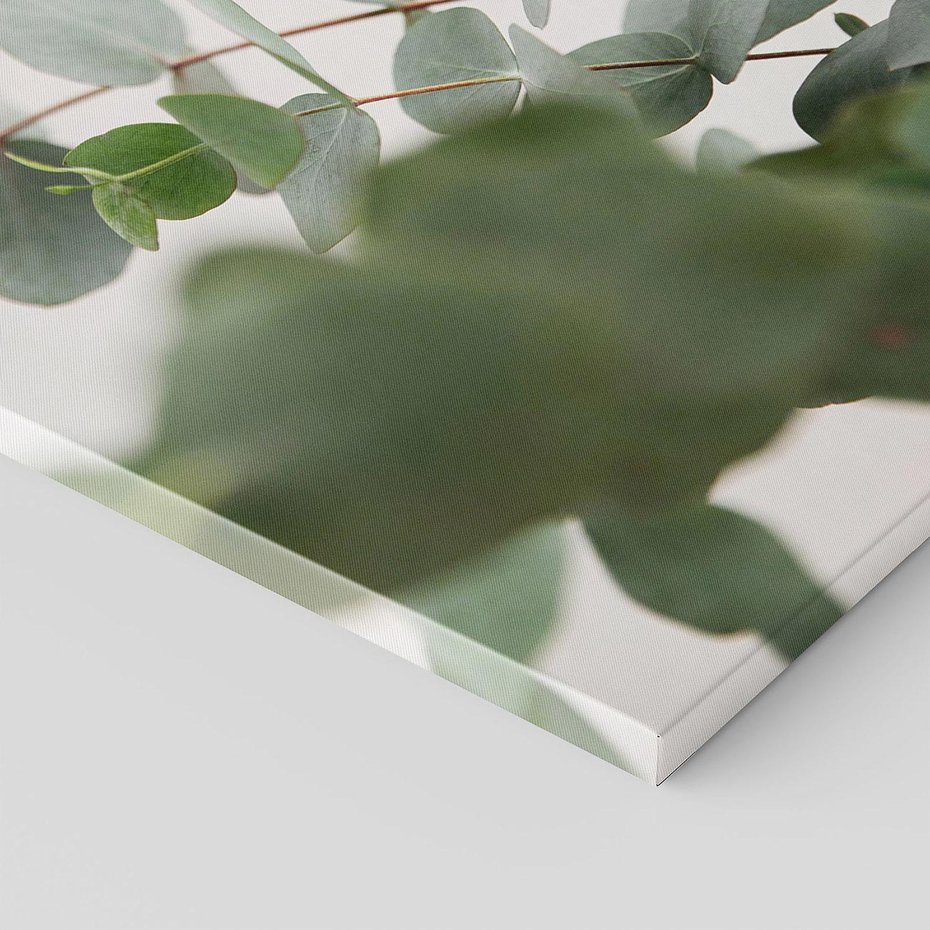 Obraz na płótnie 80x120 - Liście eukaliptusa w naturze - eukaliptus, liście