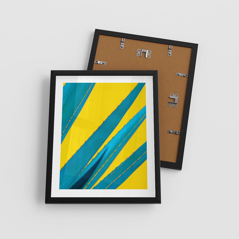 Plakat w ramie 40x50 - Świeżość Natury - aloes, liście - rama czarna