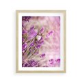 Plakat w ramie 40x50 - Majestat lawendy: fioletowe pola - lawenda, fiolet - rama drewno