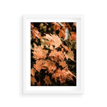 Plakat w ramie 40x50 - Ciepło Jesieni - jesienne pomarańczowe liśćie, jesień - rama biała