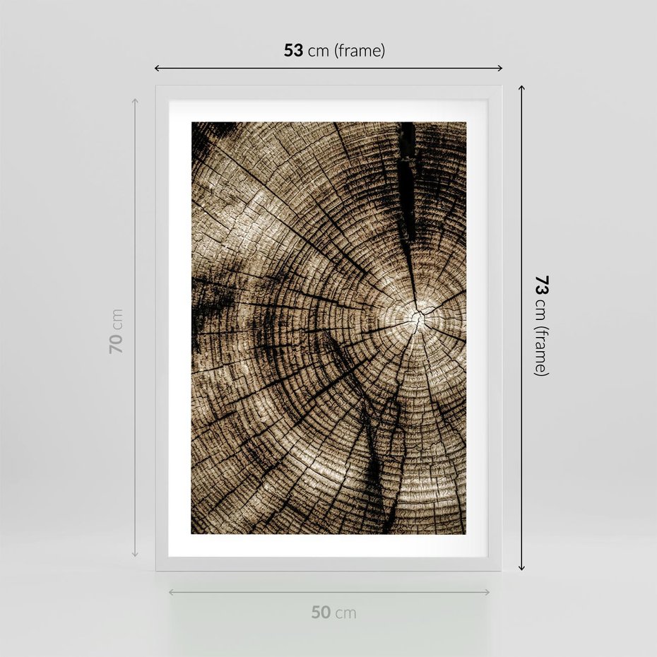 Plakat w ramie 50x70 - Natura Pod Lupą - pień drzewa, przekrój - rama biała