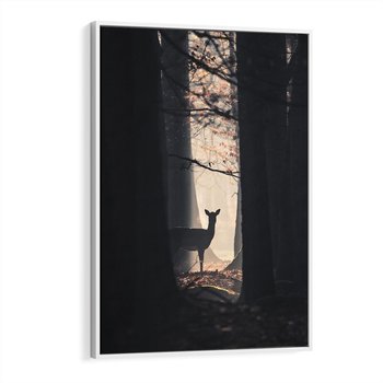 Obraz w ramie 80x120 - Sarnie Skoki - zdjęcie, klimatyczny las - rama biała
