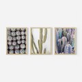 Zestaw obrazy w ramie 50x70 galeria - Kaktusy, liście, boho - rama drewno