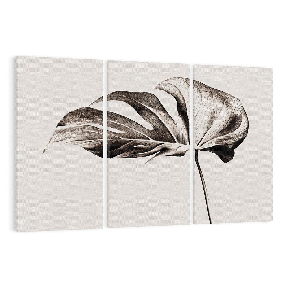 Obraz na płótnie 120x80 - Szapczący Liść - szkic, czarno biały