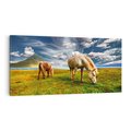 Obraz na płótnie 140x70 - Konie na łące przy jeziorze: Siła natury - konie, łąka