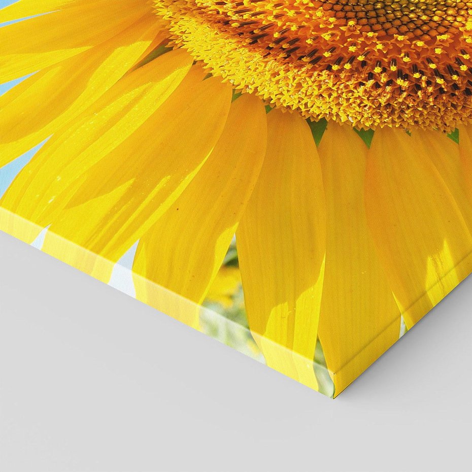 Obraz na płótnie 120x80 - Słoneczniki w naturalnym otoczeniu - słonecznik, natura