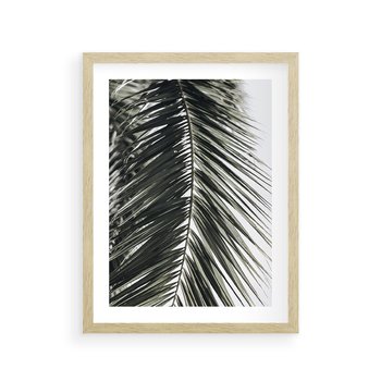 Plakat w ramie 50x70 - Liść Palmy: Egzotyczny Detal Natury - palma, liść palmy - rama drewno