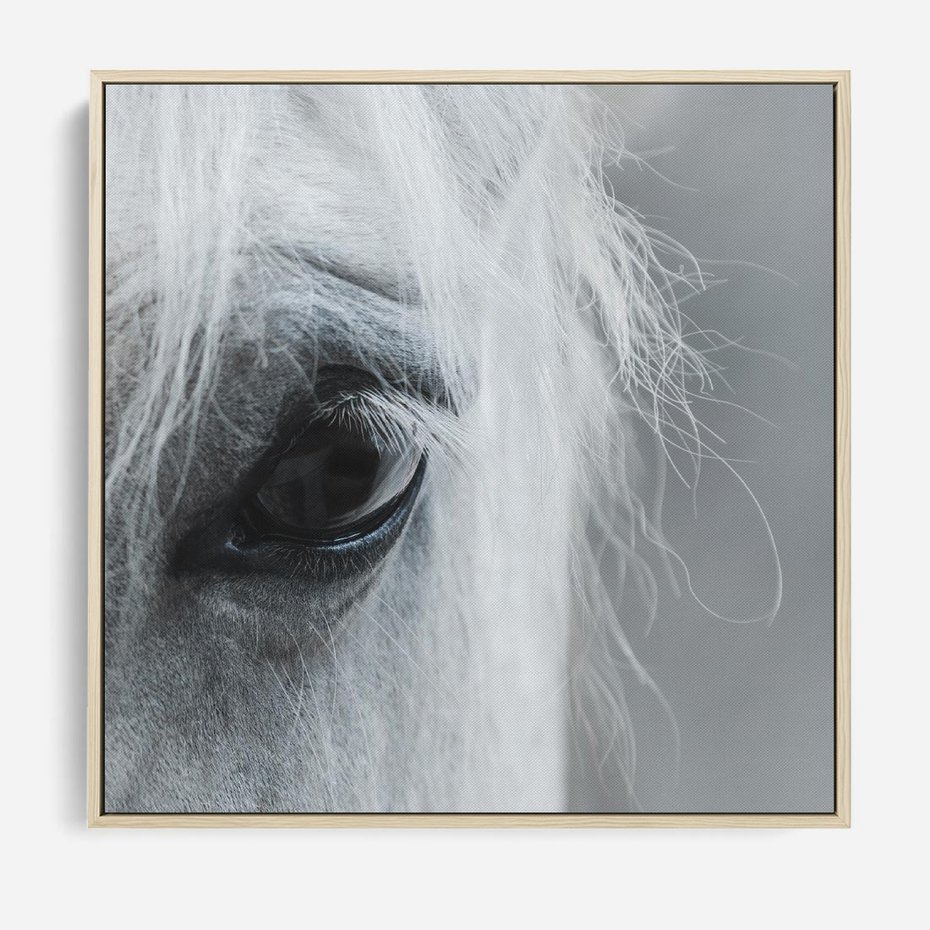 Obraz w ramie 80x80 - Oko Mocy - czarno białe zdjęcie, zbliżenie makro na oko konia - rama drewno
