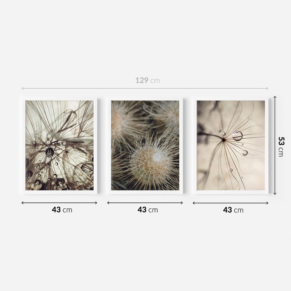 Zestaw obrazy w ramie 40x50 galeria - Dmuchawce, krople, wody, makro - rama biała
