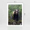 Plakat bez ramy 21x30 - Spotkanie z Niedźwiedziem w Lesie - niedźwiedź, las