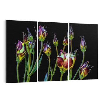 Obraz na płótnie 120x80 - urok kwiatów - kwiat, kwiaty