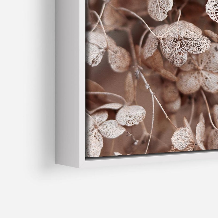 Obraz w ramie 80x80 - Przemijająca Piękność - fotografia, zbliżenie - rama biała