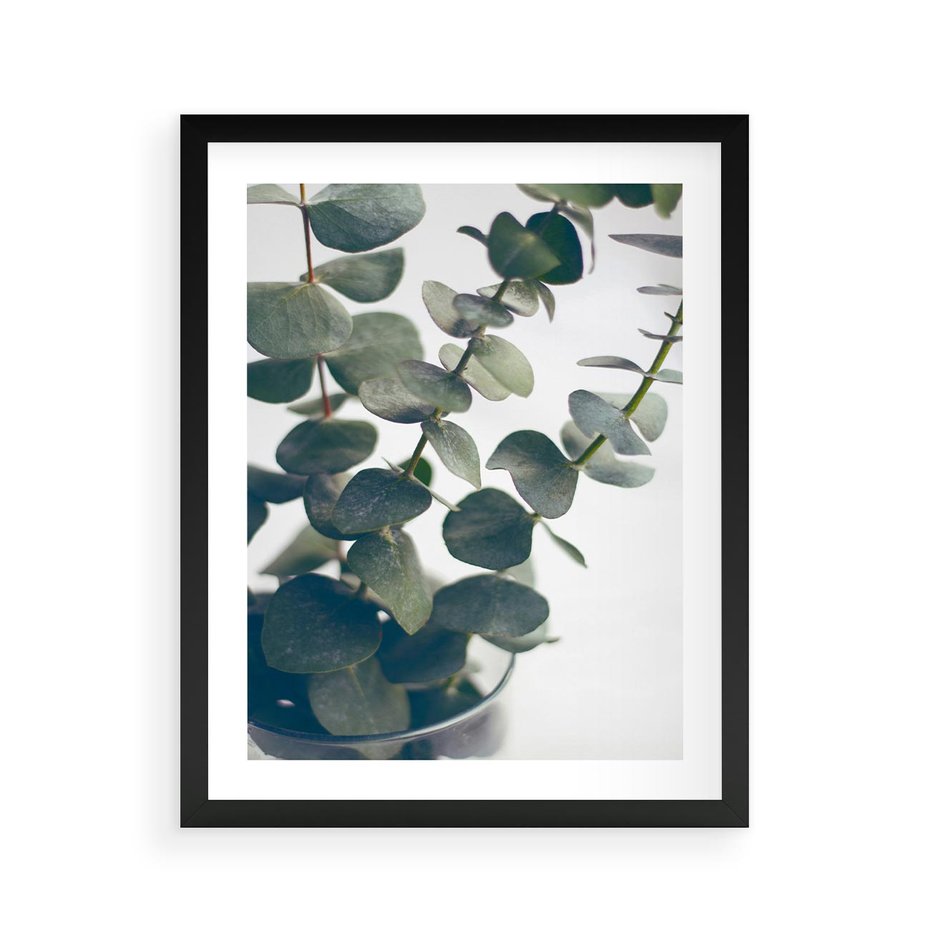 Plakat w ramie 40x50 - ukaliptusowa Harmonia - liście eukaliptusa - rama czarna