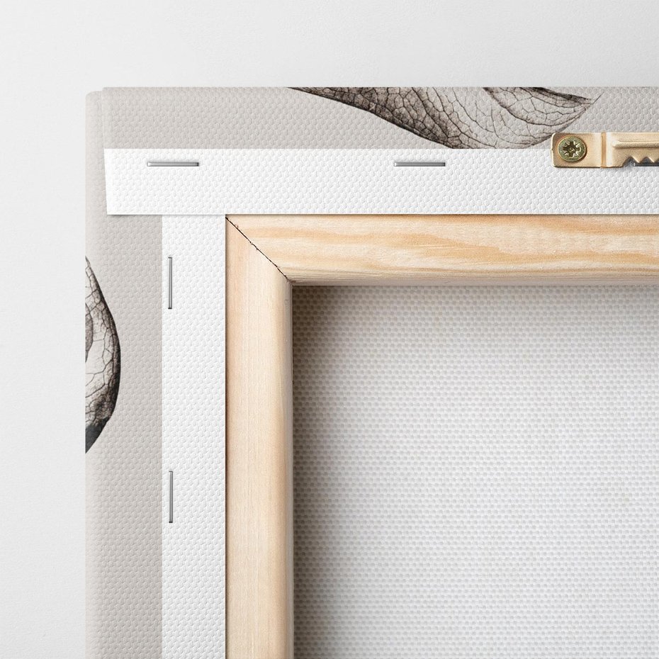 Obraz na płótnie 70x50 - Szapczący Liść - szkic, czarno biały