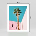Plakat bez ramy 40x50 - Palma w Miami - palma, miami