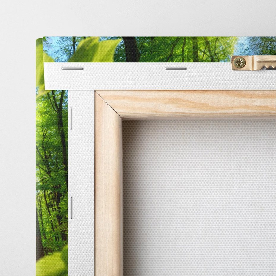 Obraz na płótnie 90x30 - Magia Leśnej Przyrody - las, drzewa