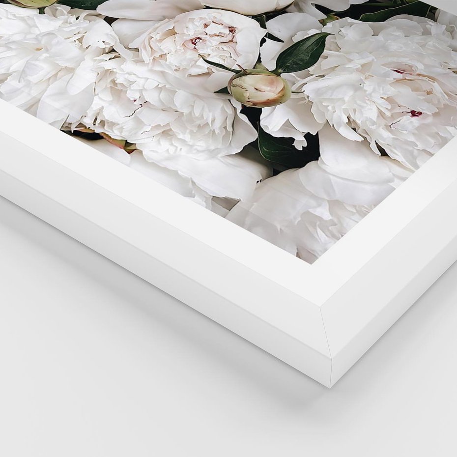 Plakat w ramie 30x40 - Modne Białe Kwiaty - białe kwiaty, płatki - rama biała