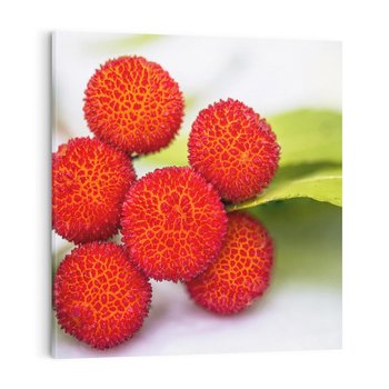 Obraz na płótnie 80x80 - Liczi Owoce - liczi, owoce