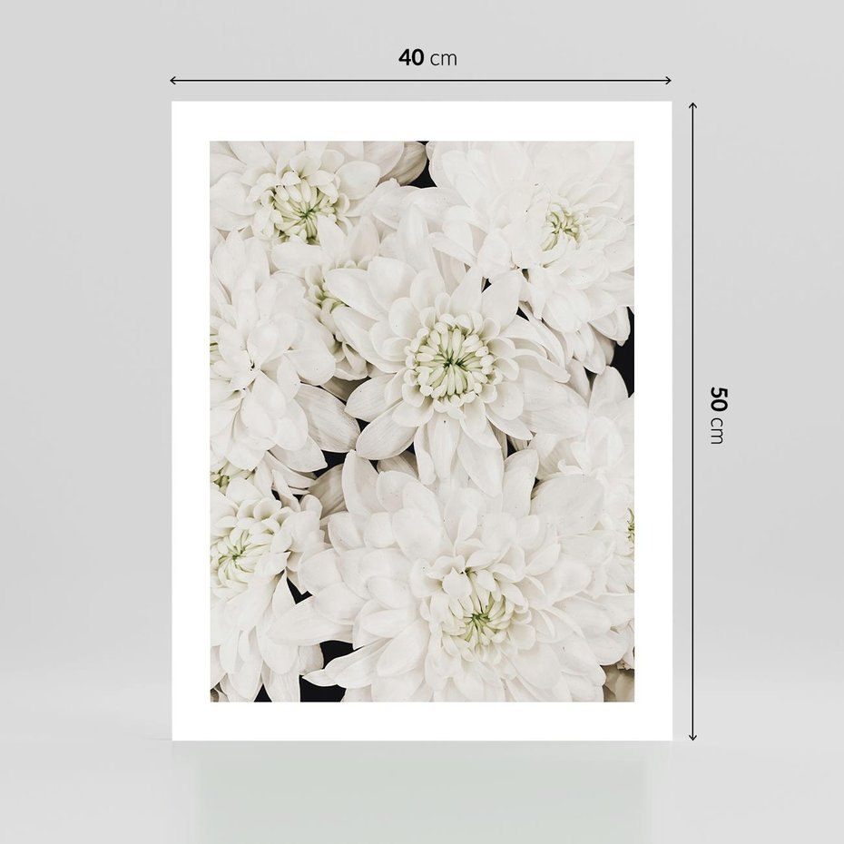 Plakat bez ramy 40x50 - Białe Kwiaty: Płatki Delikatności - białe kwiaty, zbliżenie
