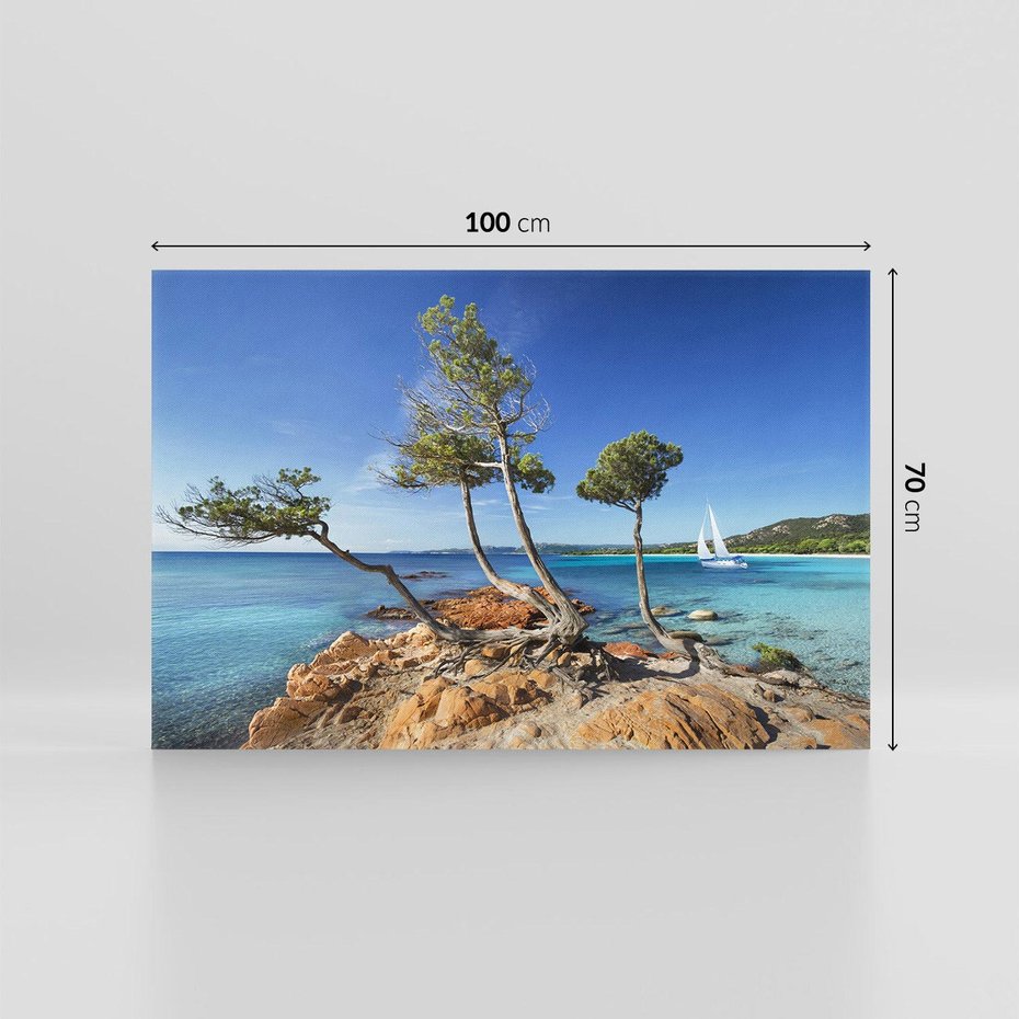 Obraz na płótnie 100x70 - Korsyka - morze i drzewa - Korsyka, morze