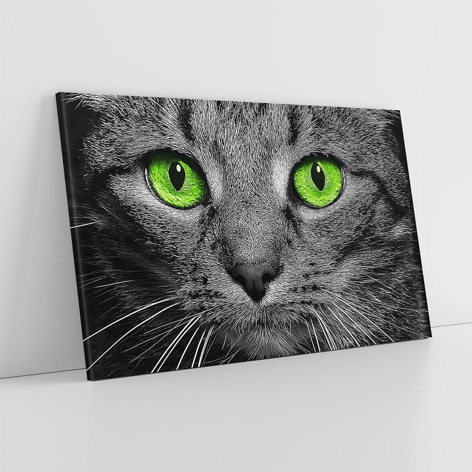 Obraz na płótnie 100x70 - Przestreń nautra doznania - kot, kotek