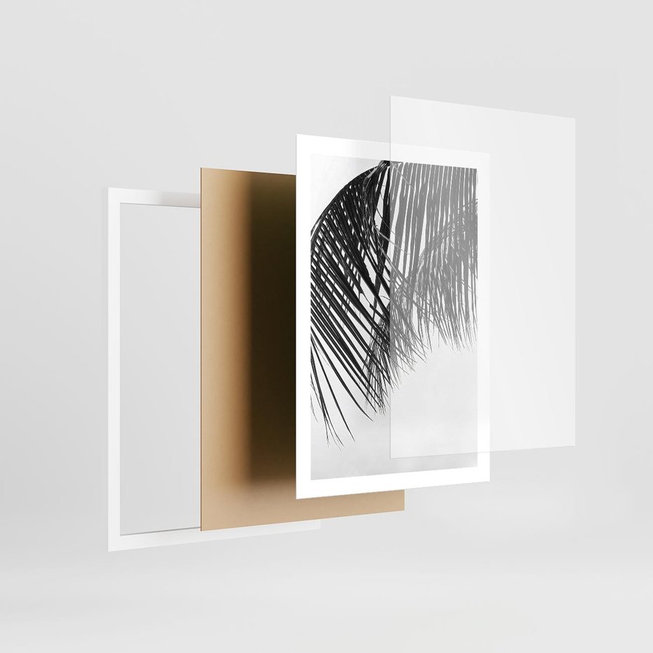 Plakat w ramie 50x70 - Czarno-Biały Kontrast - czarno białe zdjecie, palma - rama biała