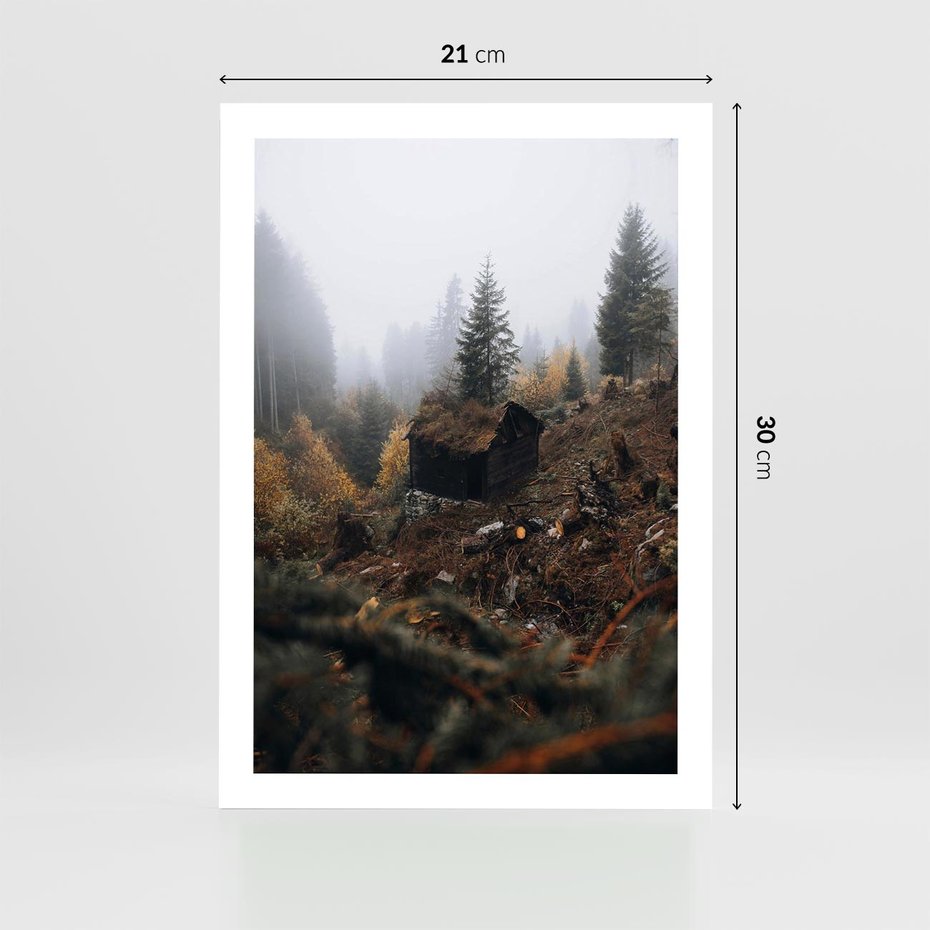 Plakat bez ramy 21x30 - Górski las - stary zniszczony domek w górach, góry