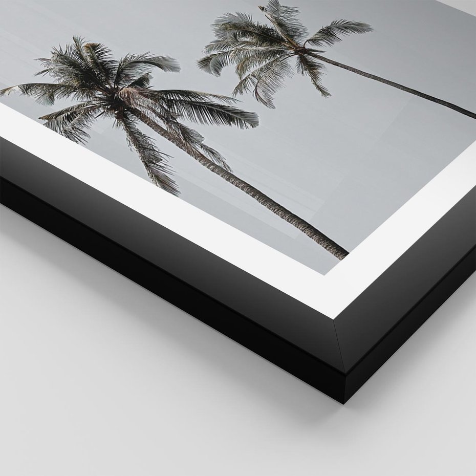 Plakat w ramie 30x40 - Tropikalny Raj: Palmy i Niebo - palmy, niebo - rama czarna