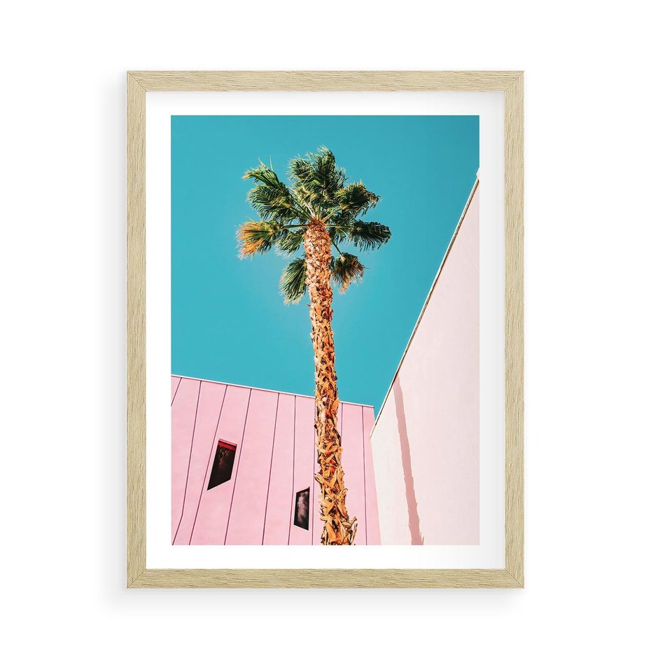 Plakat w ramie 50x70 - Palma w Miami - palma, miami - rama drewno