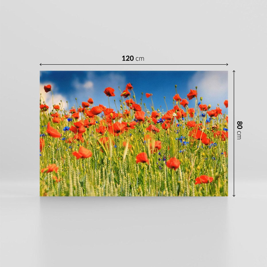 Obraz na płótnie 120x80 - Delikatne maki na kolorowej łące - mak, maki