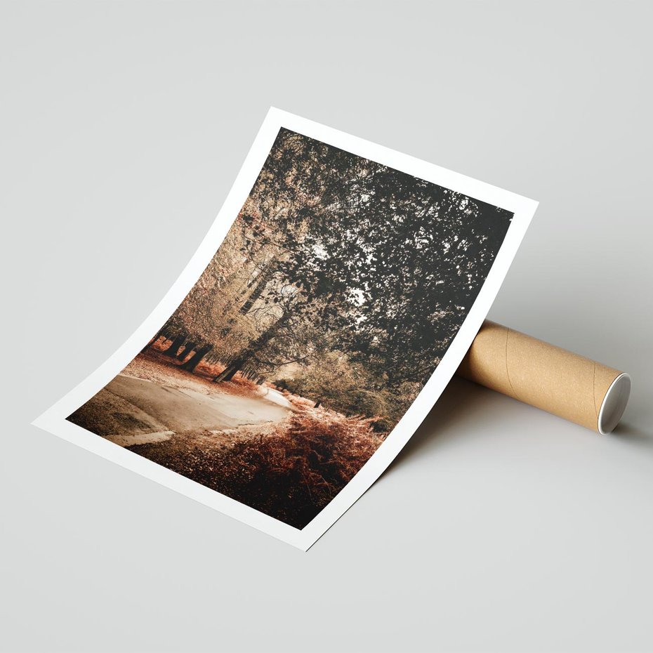 Plakat bez ramy 21x30 - Magia Jesieni: Pejzaż Parku w Odcieniach Żółci - jesień, park