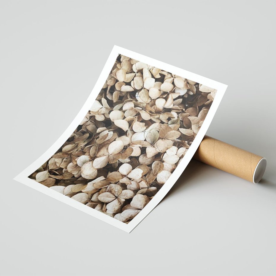 Plakat bez ramy 40x50 - Delikatność Hortensji: Kompozycja Kwiatów w Beżu - hortensja, odcienie beżu