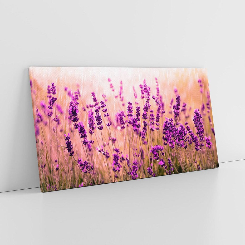 Obraz na płótnie 140x70 - Lawenda: Pachnące pole kwiatów - kwiaty, lawenda