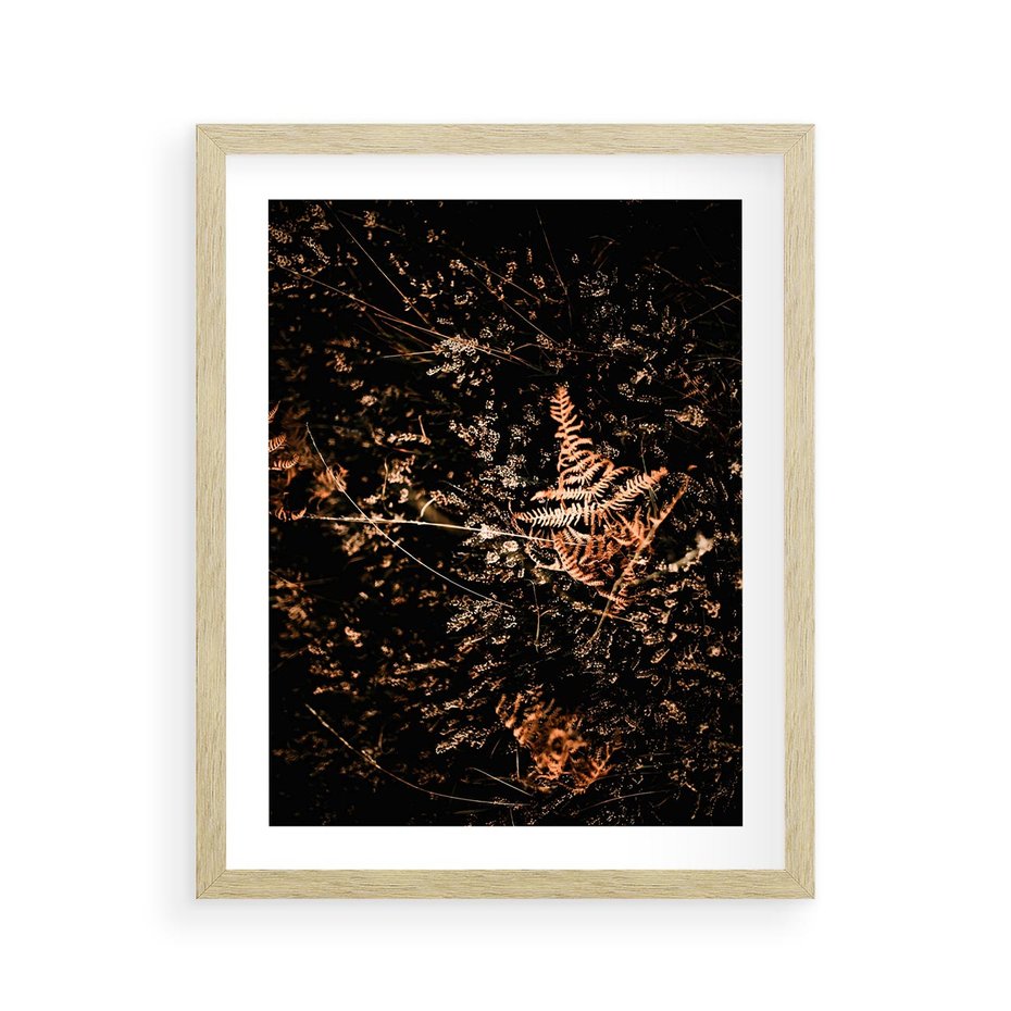 Plakat w ramie 40x50 - Jesienna Melodia - suche trawy, paprocie - rama drewno