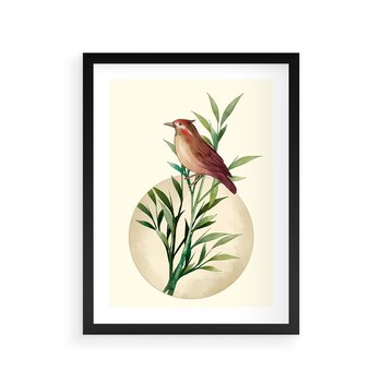 Plakat w ramie 50x70 - Rozkwitająca Delikatność - japońska sztuka, ptak - rama czarna