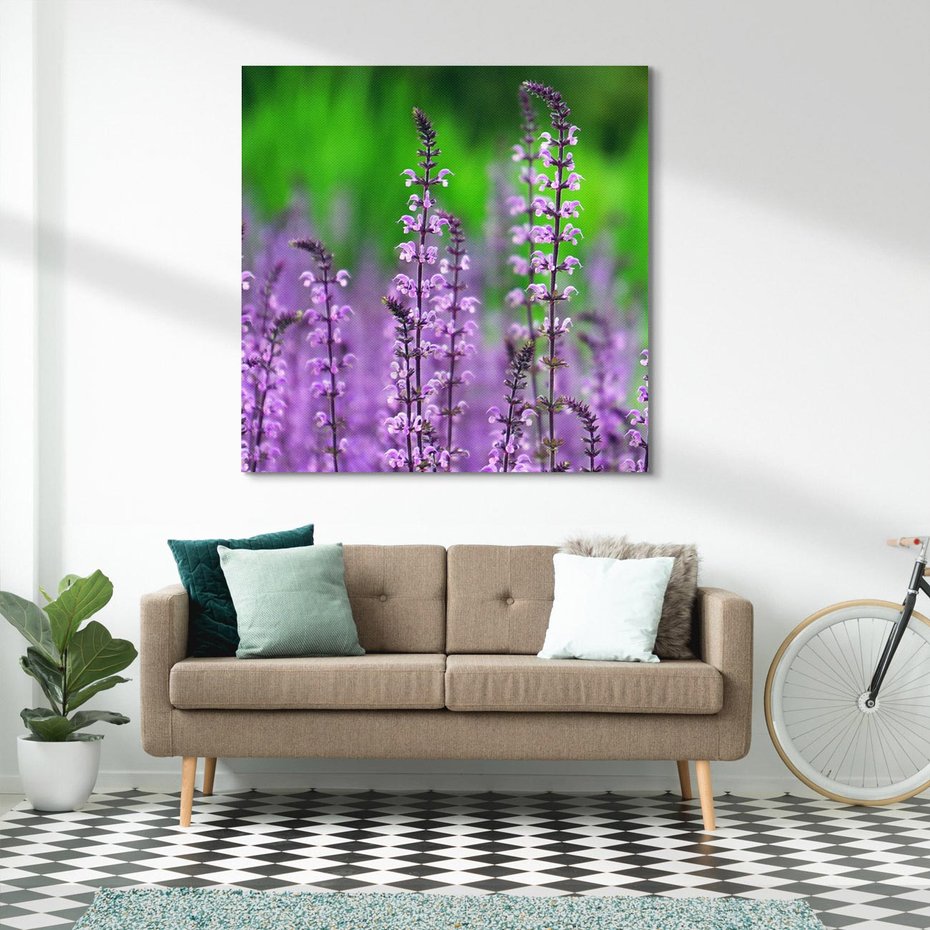 Obraz na płótnie 40x40 - Lawendowy urok - lawenda, kwiaty