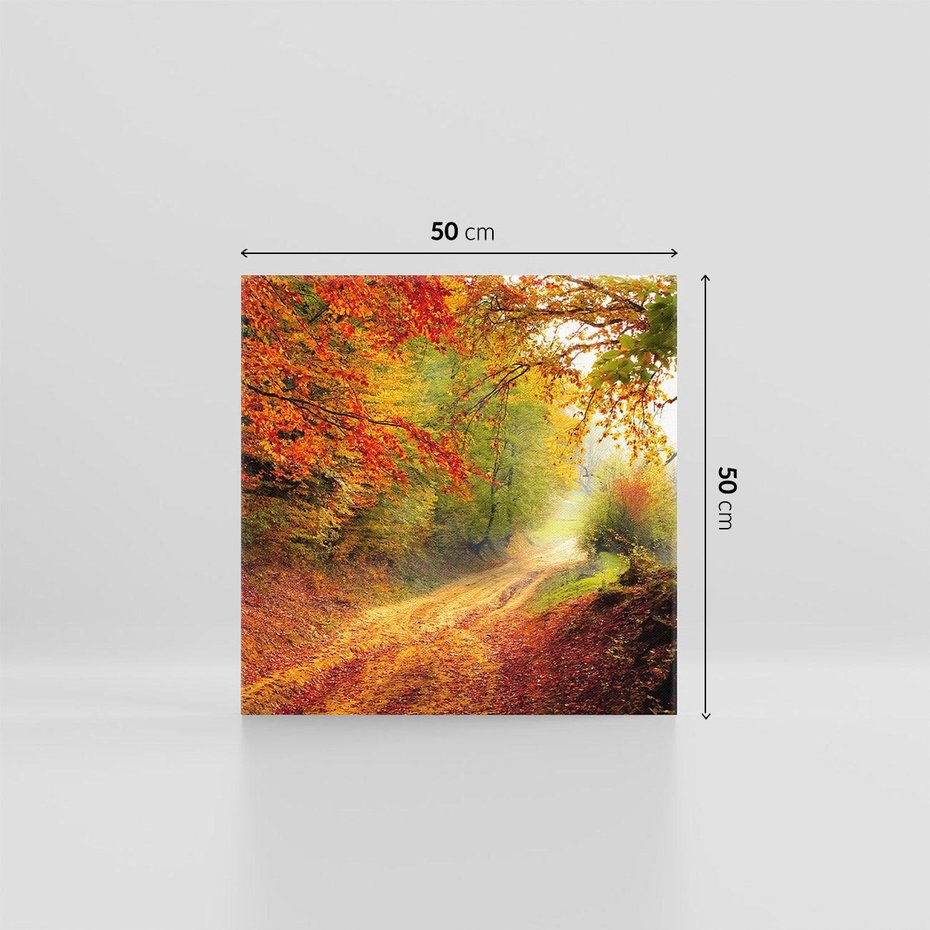 Obraz na płótnie 50x50 - Jesienny urok magia lasu - las, jesień