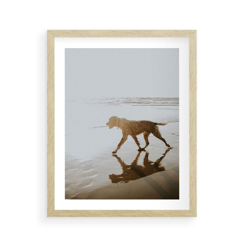 Plakat w ramie 40x50 - Przyjaciel na Plaży - pies, na plaży - rama drewno